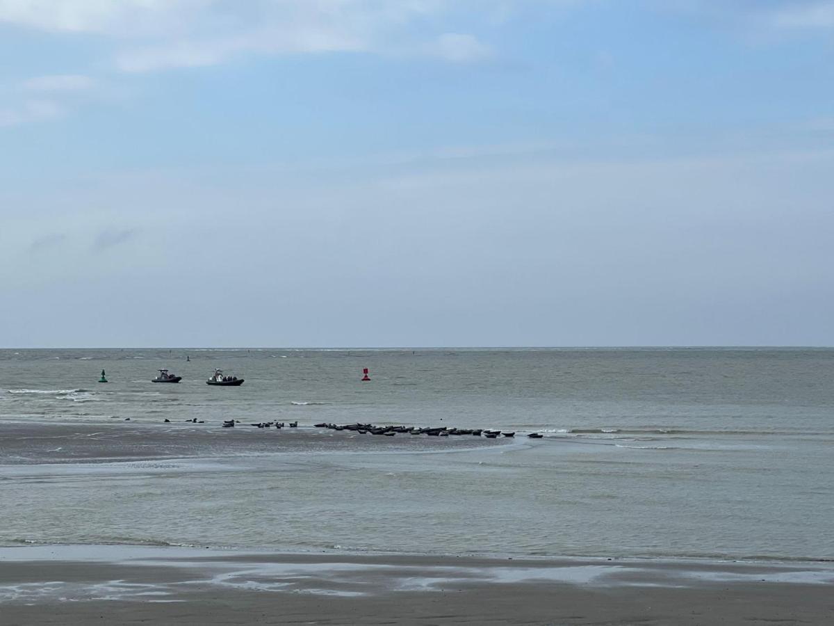 Plage A 50M Appartement Reves Bleus Villa Les Bains De Mers Exterior photo